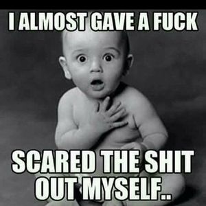 Meet your Posher, Wallace